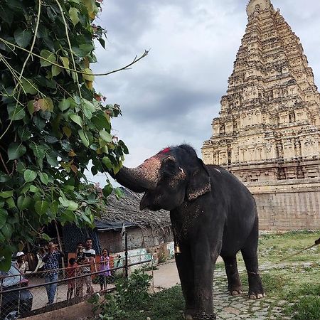 Temple View Guest House Hampi Exterior foto