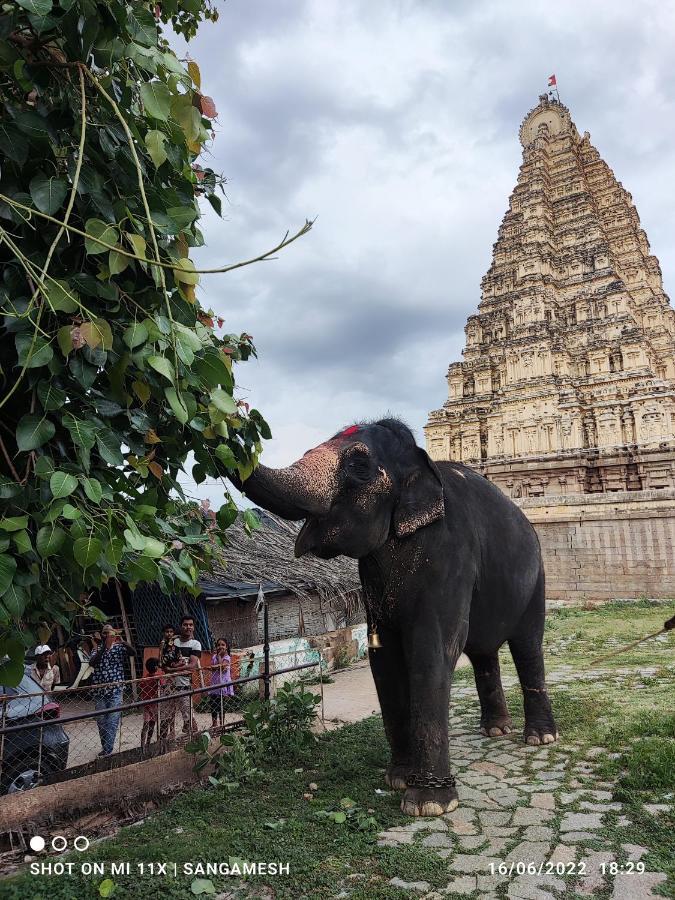 Temple View Guest House Hampi Exterior foto