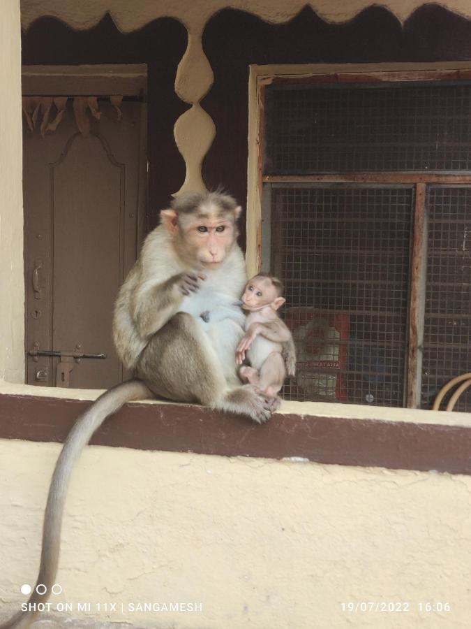 Temple View Guest House Hampi Exterior foto